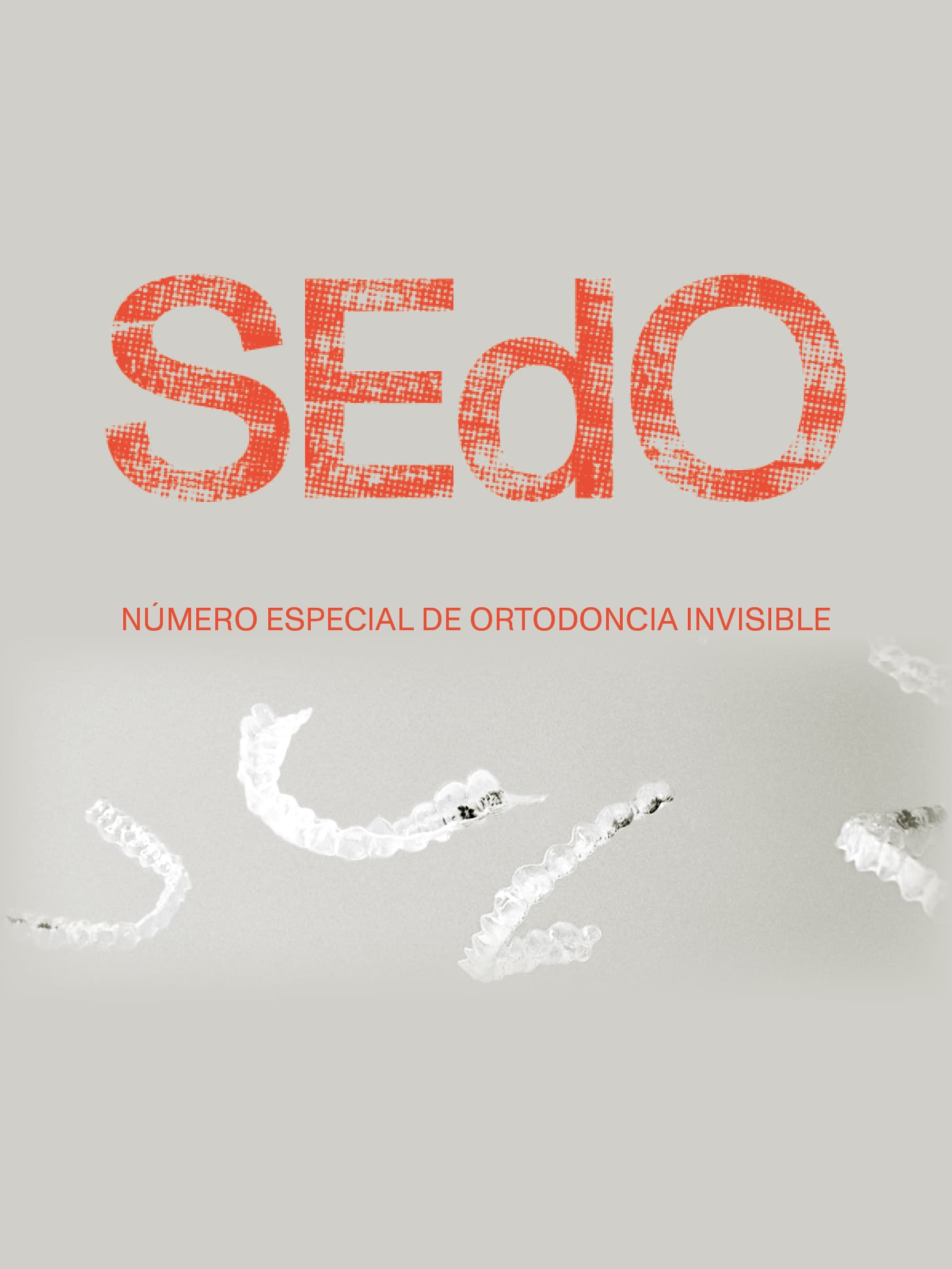 SEdO Publication cover image